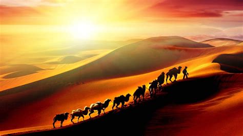 行走在沙漠中的骆驼免抠图图片素材免费下载 - 觅知网