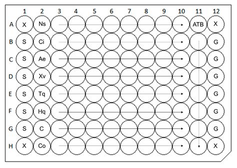Vapors of Volatile Plant-Derived Products Significantly Affect the ...