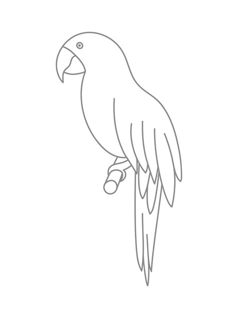Image result for Parrot Drawing Printable