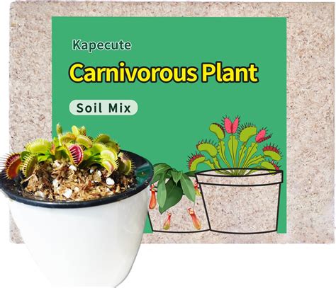 Amazon.com : Carnivorous Plant Soil Mix - 1 Quart Bag - Premium Blend ...