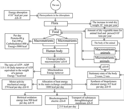 Energy Transformation 的图像结果