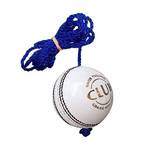 RANAC Match White Leather Cricket Hanging, Knocking & Practice Ball ...
