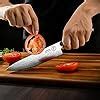 Buy F FANTECK VG10 Damascus Professional Sharp High Carbon Stainless ...