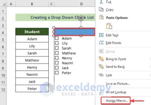 Image result for Excel Add Drop Down Checklist