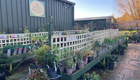 CRANBROOK FARM SHOP & NURSERY (2026) All You Need to Know BEFORE You Go ...