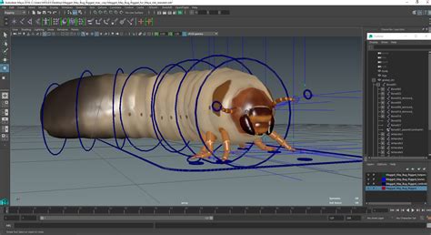 3D model Maggot May Bug Rigged for Maya | 3D Molier International