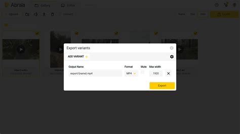 Image result for Convert Any Video File to MP4