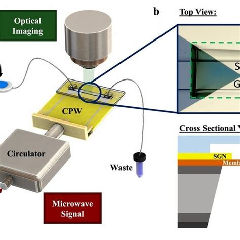 Diffraction Pattern Simulated 的图像结果