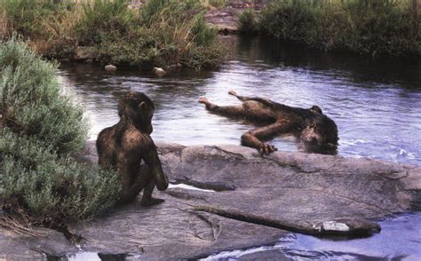 Australopithecus Documentary 的图像结果