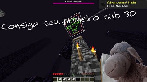 Image result for Minecraft Speedrun Tutorial