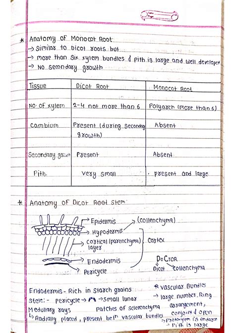 Anatomy of Flowering Plants - Biology Handpicked Notes PDF