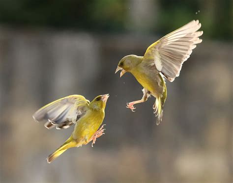 Image result for Infrared Photography Tutorial