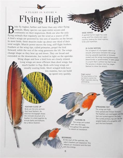 Time Warner Discoveries Library Flight – Books and You