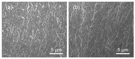 Effect of Pulse Frequency on the Microstructure and the Degradation of ...