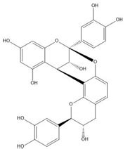 Proanthocyanidins Should Be a Candidate in the Treatment of Cancer ...