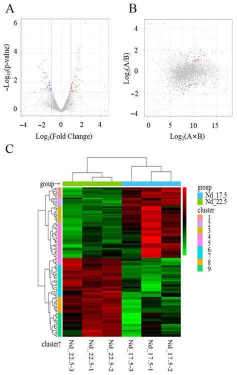 Transcriptome Analysis Reveals the Important Role of Vitamin B12 in the ...