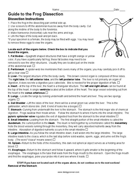 Frog Dissection Tutorial 的图像结果