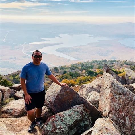 Image result for How to Work with Requests Data Python