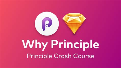 Image result for Principle Software UI