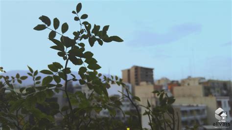 Image result for Get Grid On Image JavaScript