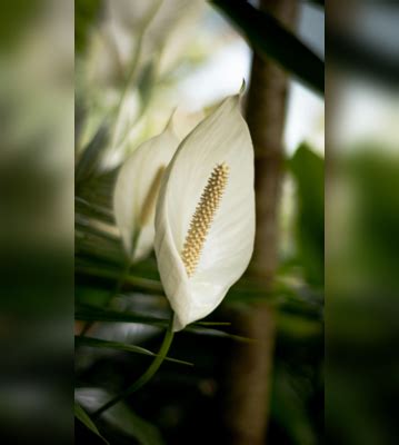 Web Stories, Photo Stories, News AMP Stories, News Photo Stories