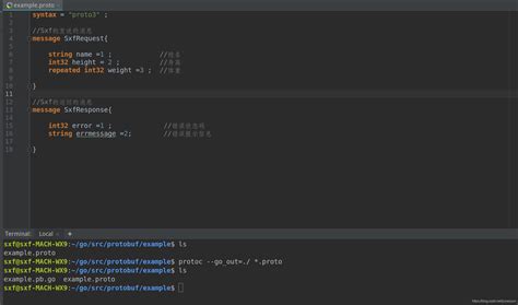 Protobuf C++ Python Java 的图像结果