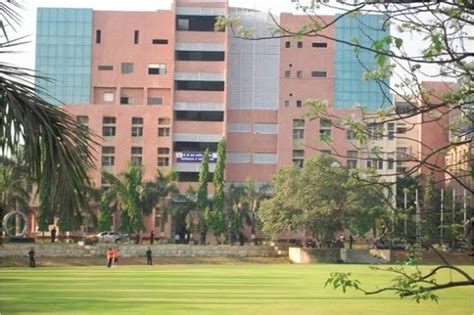 DY Patil University, Mumbai | Placements, Courses, Admissions, Reviews ...