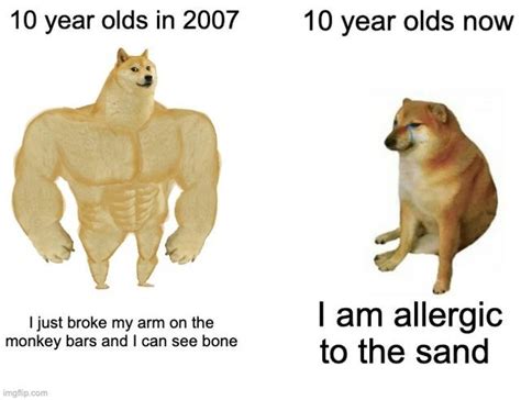 The Doge meme dog is suffering from cancer and liver disease