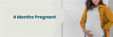 4 meses de embarazo: Qué esperar de tu embarazo