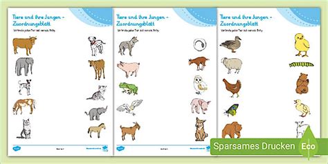 Tiere und ihre Babys - Arbeitsblatt
