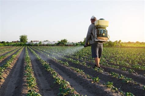 A farmer with a backpack spray sprays fungicide and pesticide on potato ...