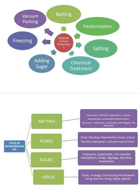 microorganisms:friend and foe mind map please give - Brainly.in