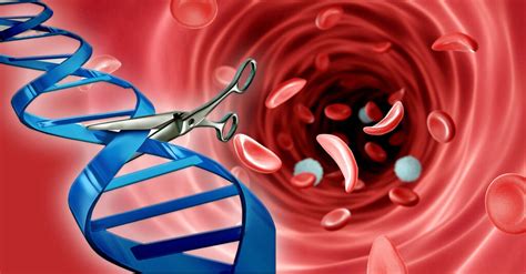 CRISPR Kit for Humans 的图像结果