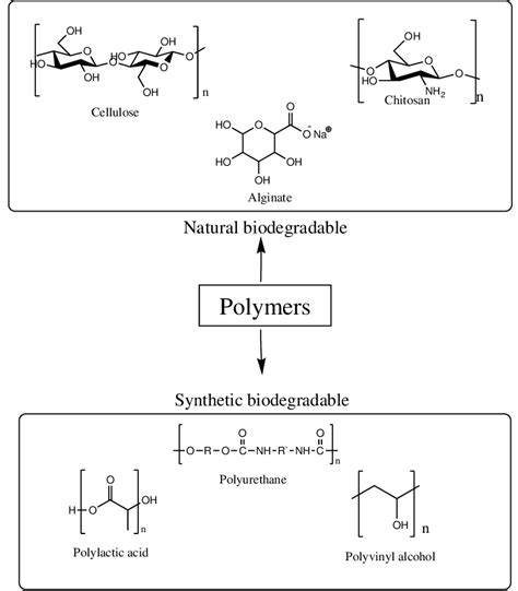 Image result for Biodegradable Polymer Structure