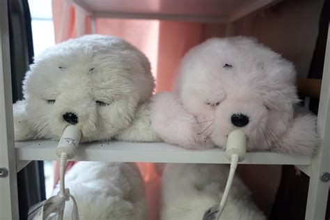 Robot Nurse Japan 的图像结果