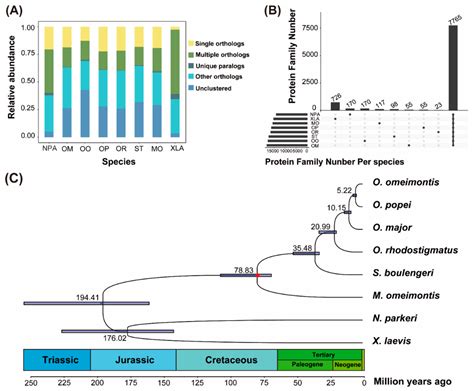 Plateau Grass and Greenhouse Flower? Distinct Genetic Basis of Closely ...