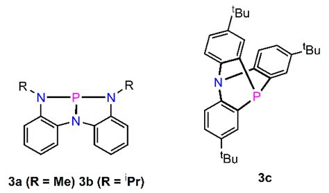 The Backbone of Success of P,N-Hybrid Ligands: Some Recent Developments