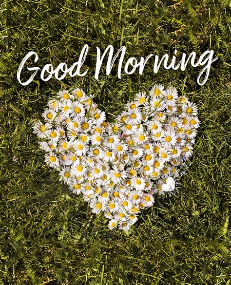 Lovely Good Morning With Heart