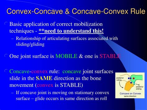 PPT - Joint Mobilization PowerPoint Presentation, free download - ID ...