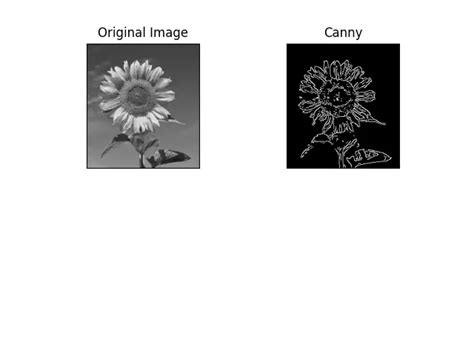 Image result for Edge Detection in Python by OpenCV
