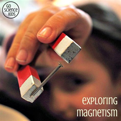 Magnetism Experiments 的图像结果