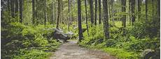 Forest Dual Monitor Wallpaper by Forest Dual Screen Wallpapers Top Free Forest Dual Forest Dual Monitor Wallpaper