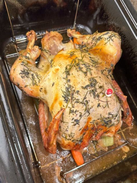 How to Cook a Turkey in a Roaster 的图像结果