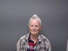 Inmate Roster | Baxter County Sheriff's Office | Sort Release Time ...