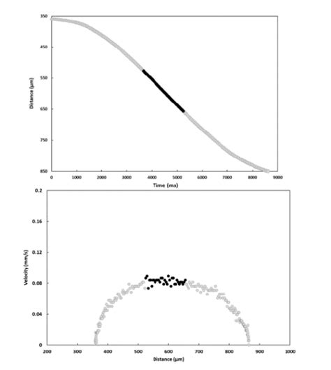 Image result for Falling Distance Flowgorithm