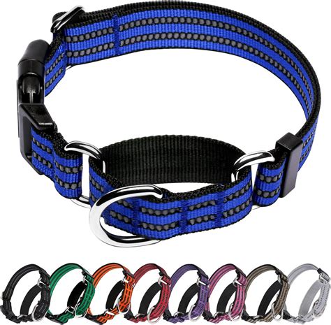 Secure & Comfy Martingale Collar with Buckle for Dogs