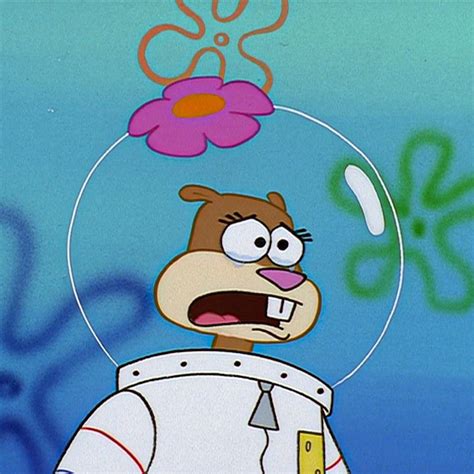 Image result for Sandy Cheeks Scientist