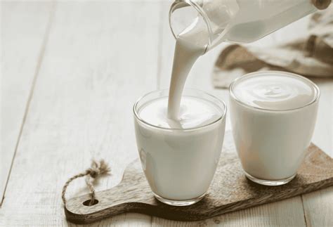 Buy 100% Natural Goat Milk Kefir - Courtyard Farms