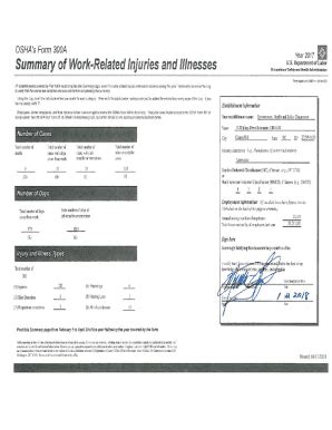 Fillable Online ehs unc OSHA Form 300A - Year 2017 Fax Email Print ...