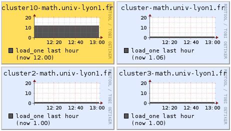 Computer Cluster Tutorial 的图像结果